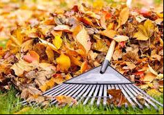 Leaf Raking (Per Acre)